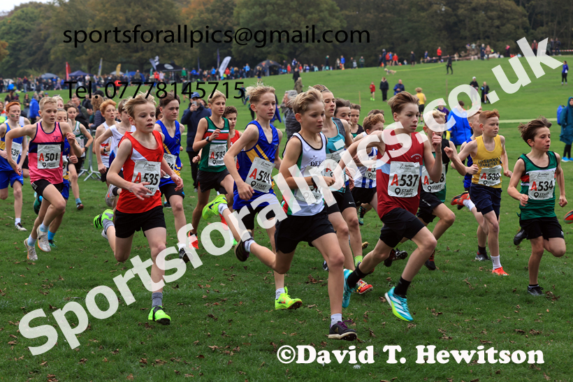 Boys Under-13s relay, 2025 Northern Cross Country Relays, Graves Park, Sheffield. Photo: David T. Hewitson/Sports for All Pics